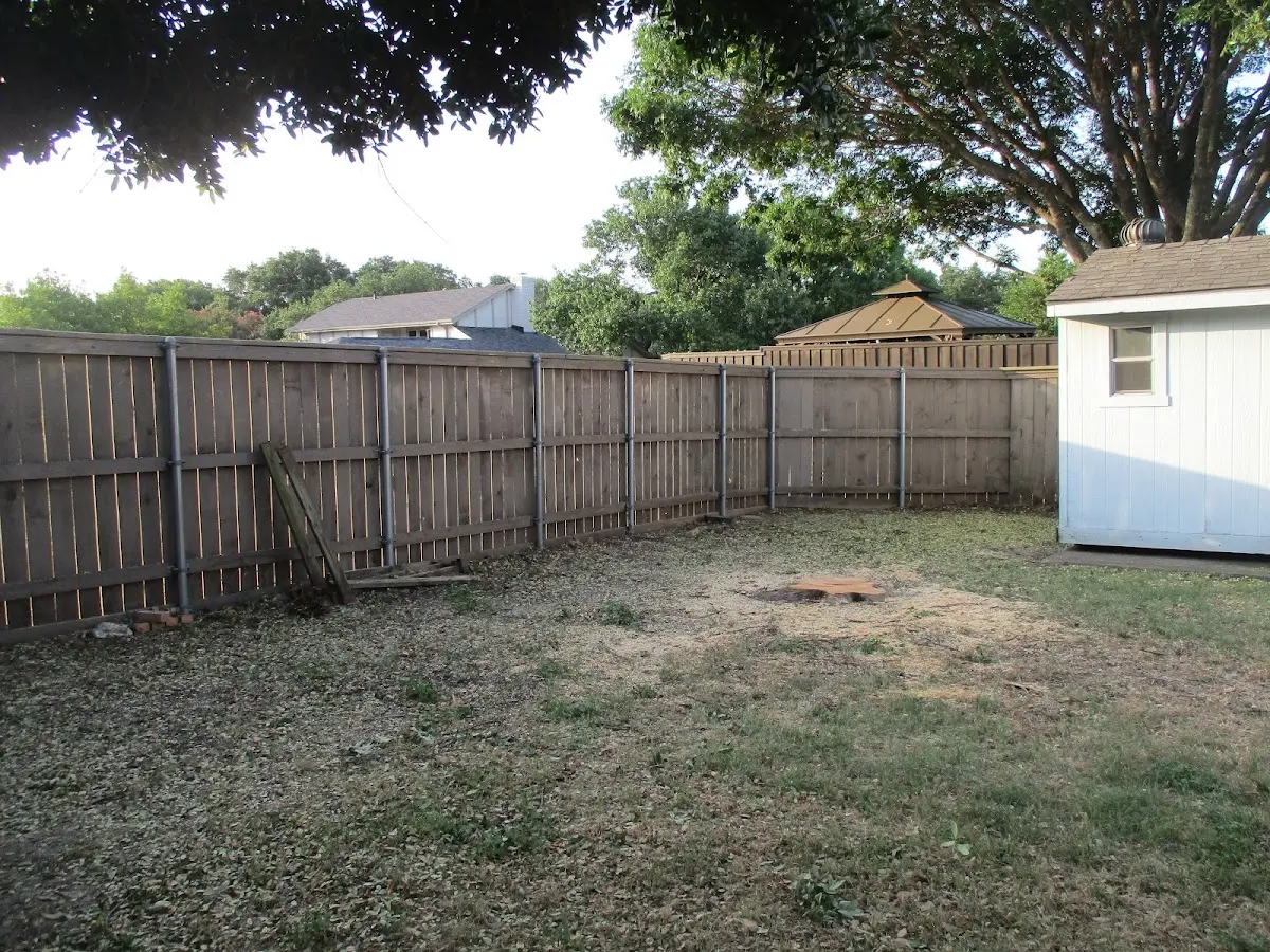 Cleared yard after professional tree removal in Kimper